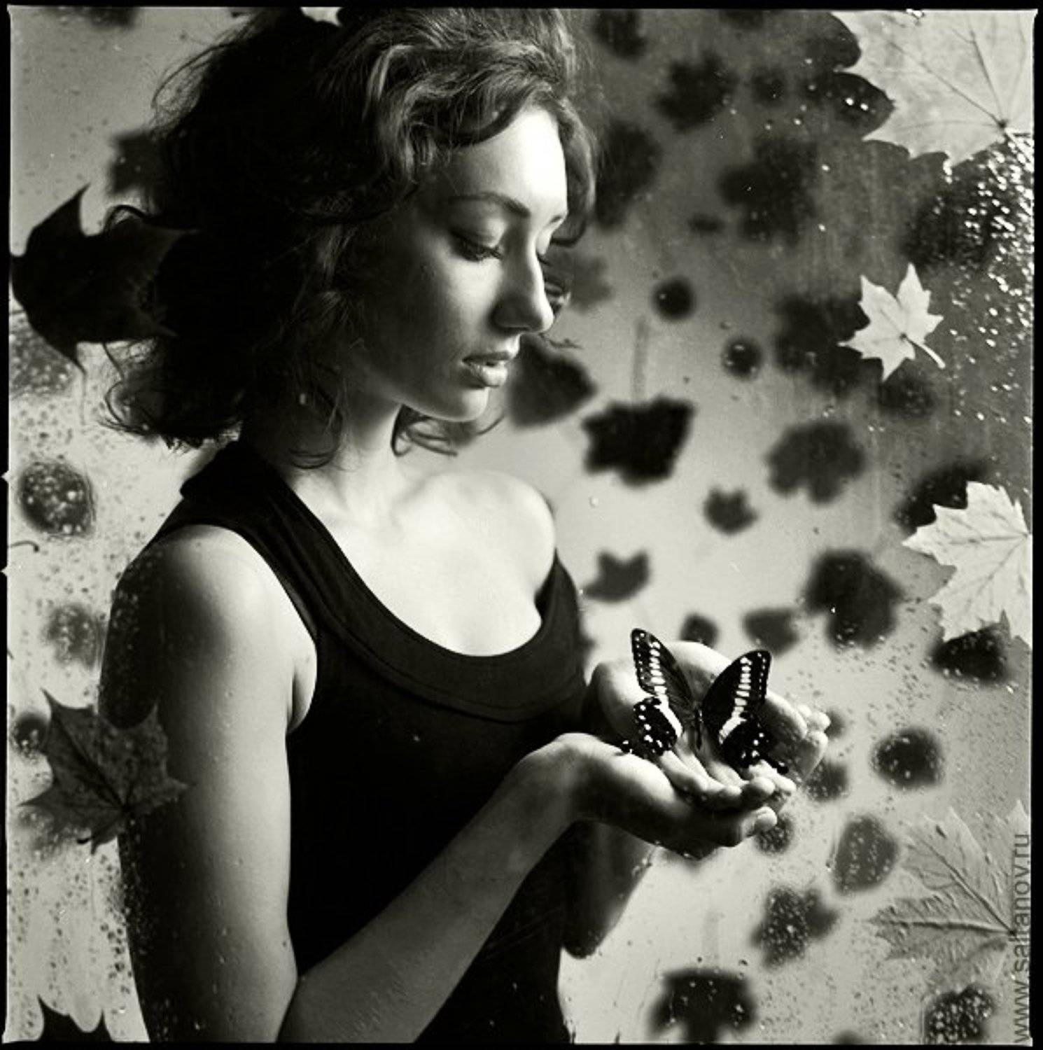 , Антон Салтанов