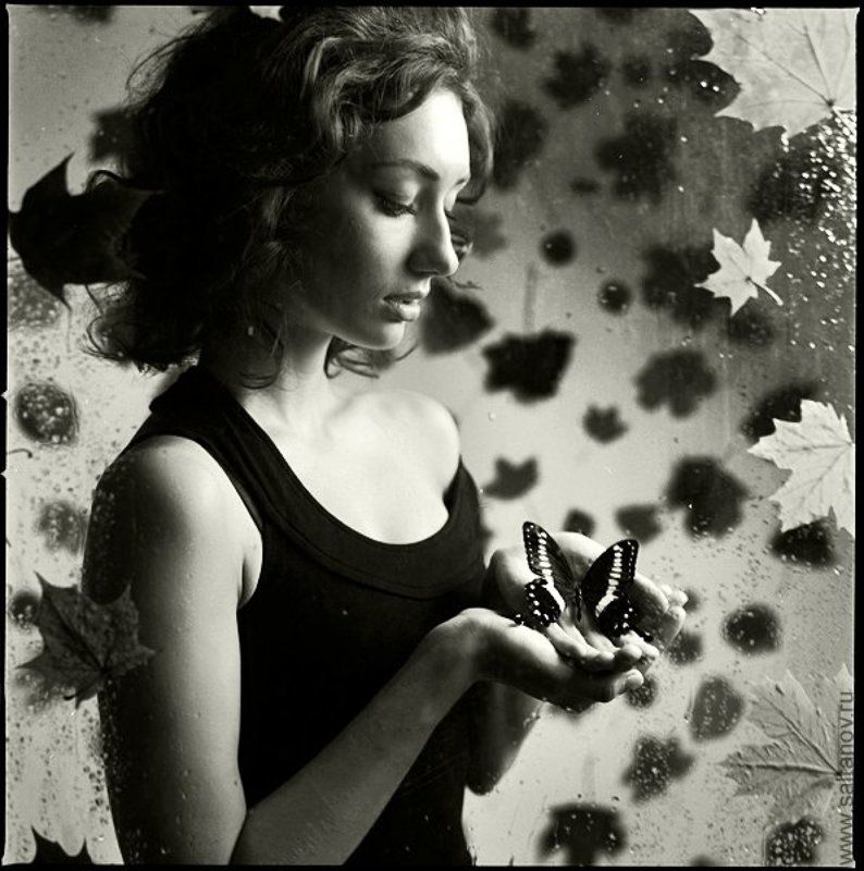 Бабочка умирает в понедельник.photo preview