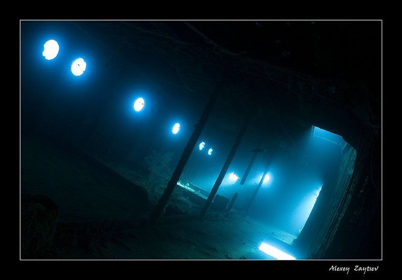 зайцев, подводное, фото, затонувший, корабль, красное, море, фотосафари Сияниеphoto preview