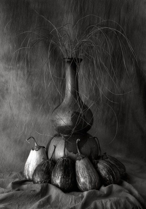 Natur morte #1photo preview