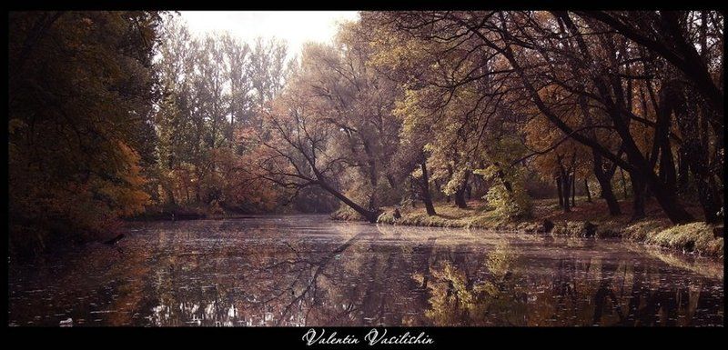 осеннееphoto preview