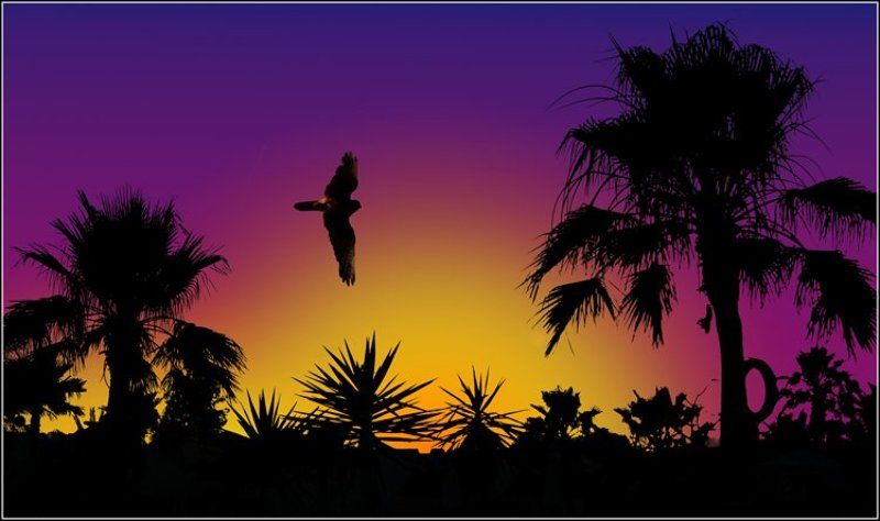 африка, крокодилы, бегемоты, обезьяны, кашалоты, :))) Африканские сказки...photo preview