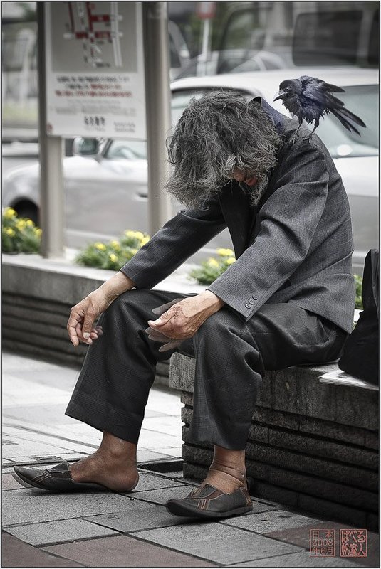 япония, нагойя, бомж, ворона, ритм, джаз Джазphoto preview