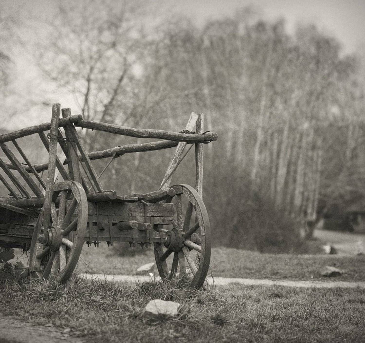 Я с предками своими говорю..... Автор: Alex Vasilenko , Alex Vasilenko