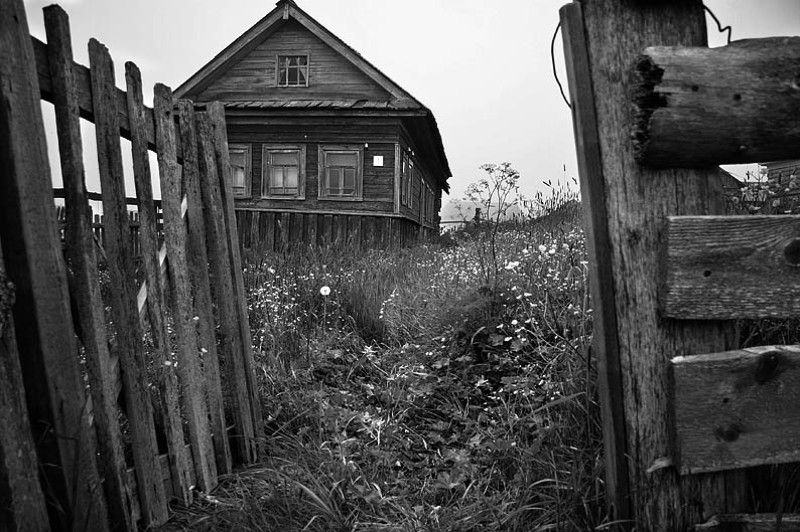 поморская, серия, светлана, глушко *photo preview