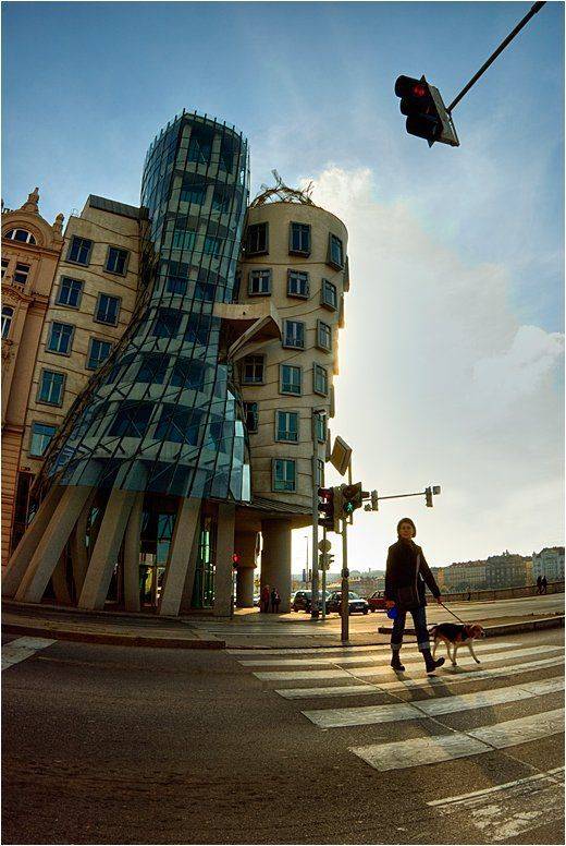 Шагающий Пёс, Танцующий Дом. Автор: Сергей Шанин прага, Сергей Шанин