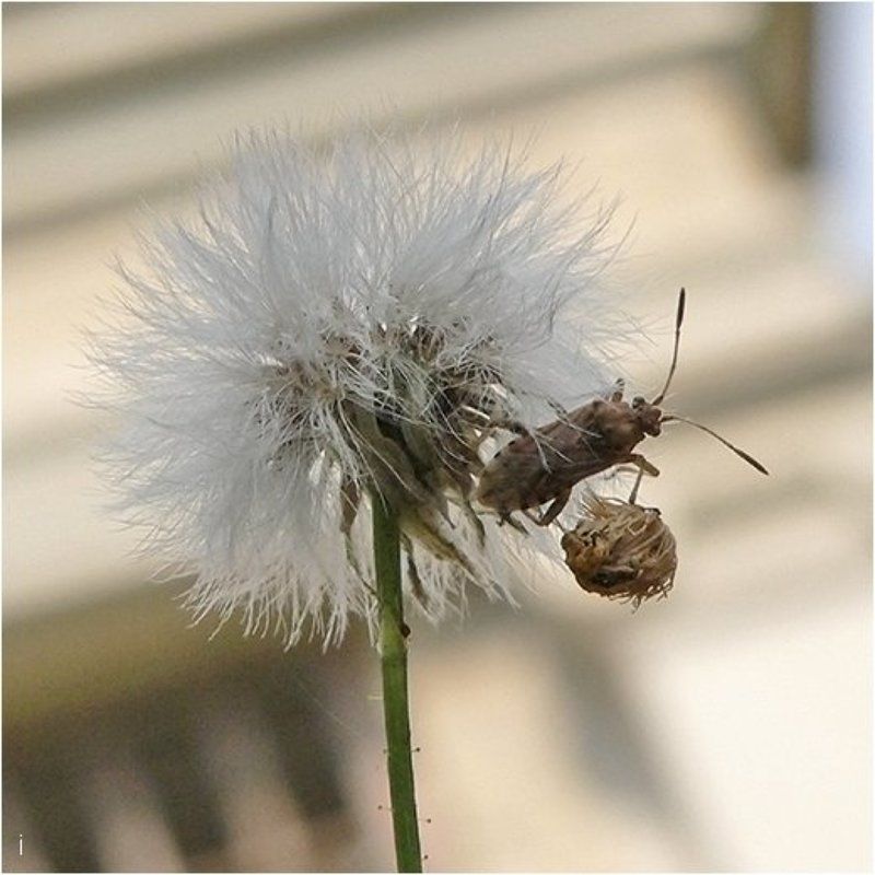 «так-так-так... главное не уронить!»photo preview