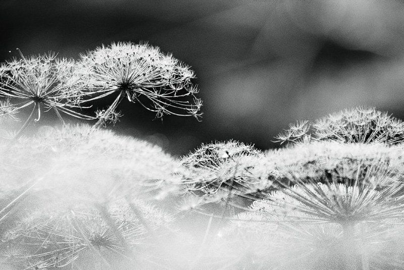 осень photo preview