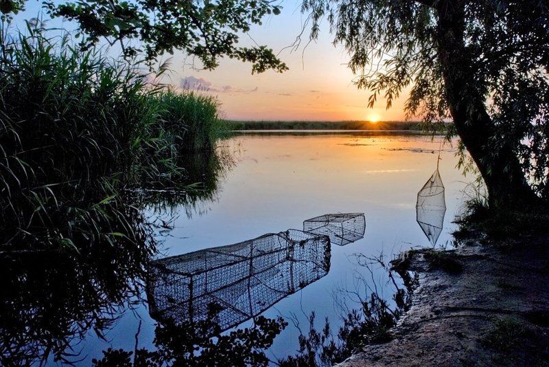 пейзаж, лето, июнь, рыбалка, утро, рыбака, река, днепр, lad_i_mir Утро рыбакаphoto preview