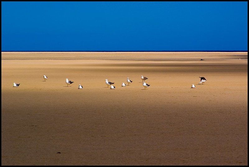 испания,канарские острова,фуэртевентура,пляж сотавенто Чайкиphoto preview