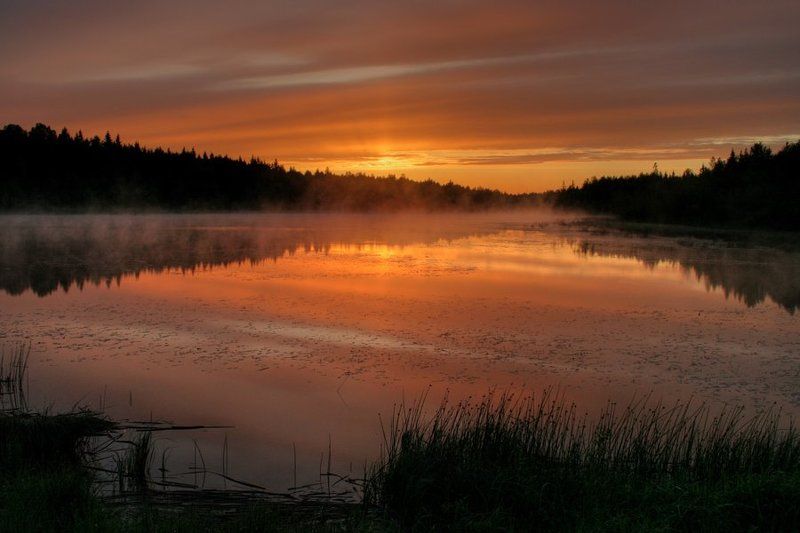 Утро каждое утроphoto preview