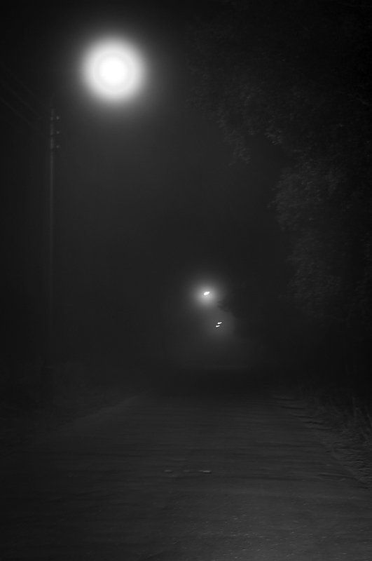 свет,тень,фонарь,природа Свет в конце ...photo preview