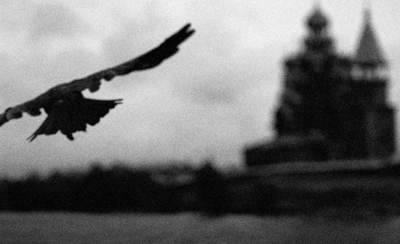 ворон,кижи Махнув одним крыломphoto preview