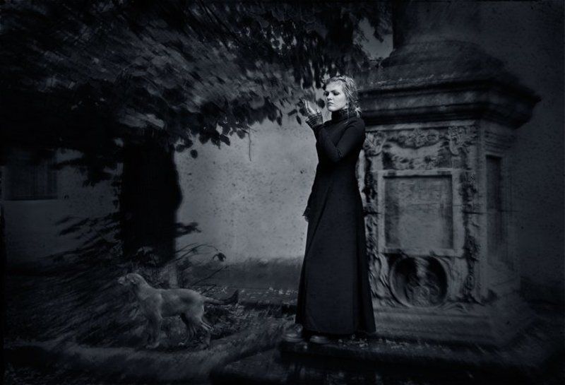 Silent Dreamsphoto preview