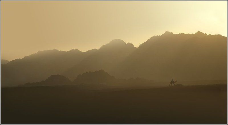 ...бедуин..photo preview