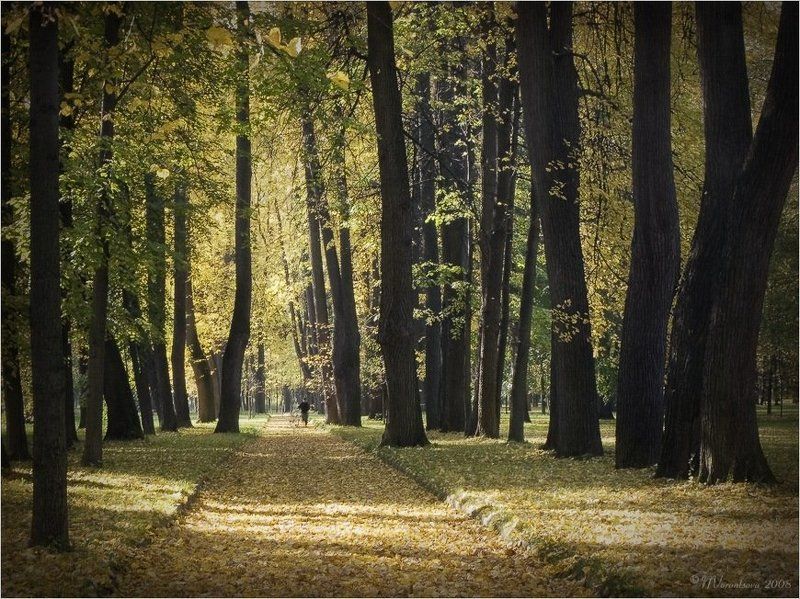 Осенние мотивыphoto preview