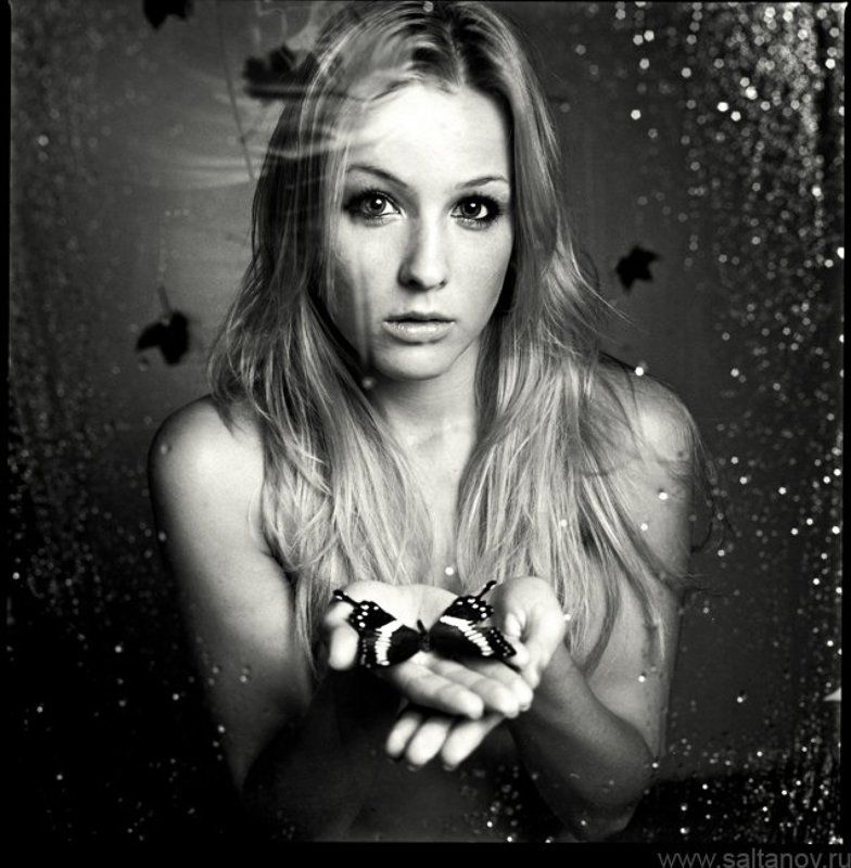 Бабочка умирает в понедельник.photo preview