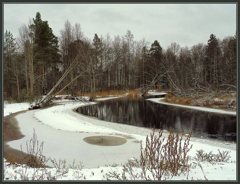 Конец ноября.photo preview