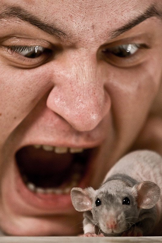 А-р-р-рphoto preview