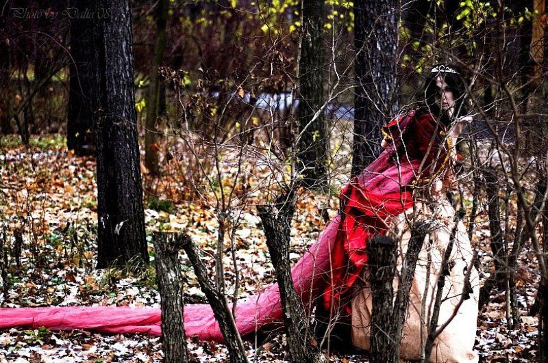 принцесса, кусты, бег, испуг Убегая от себяphoto preview