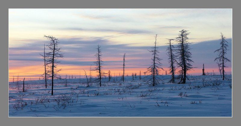 Тундра, однако...photo preview