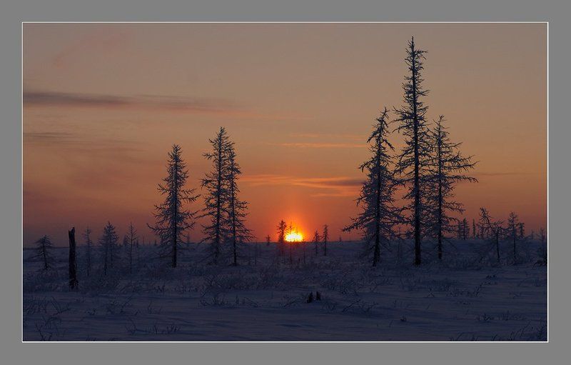 Скоро полярная ночь....photo preview