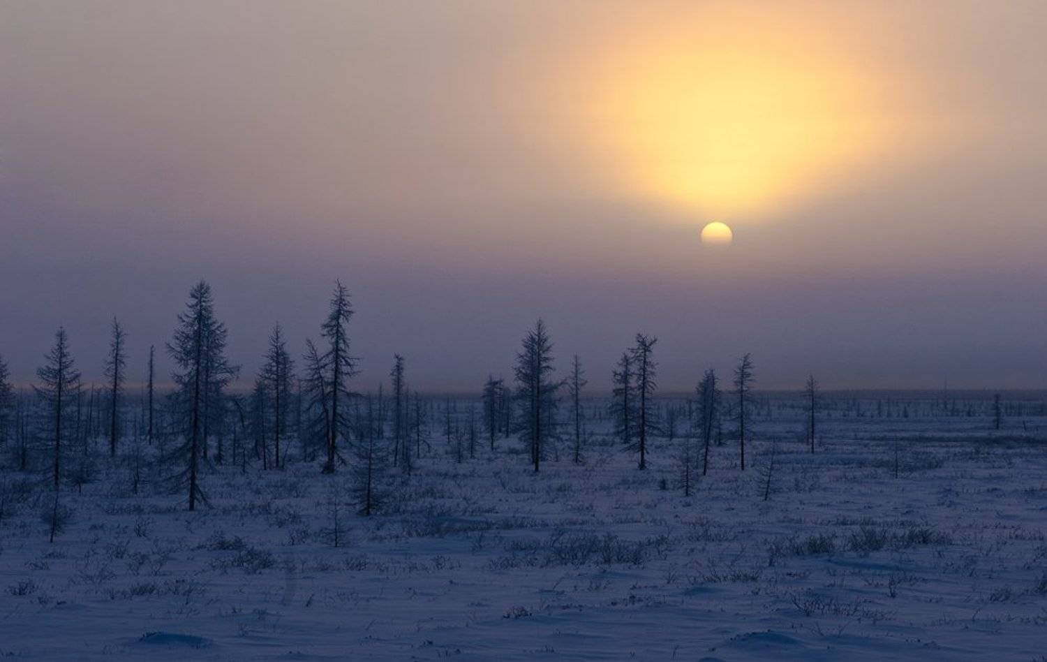 Тундра, полдень. Автор: Евгений Никулин , Евгений Никулин