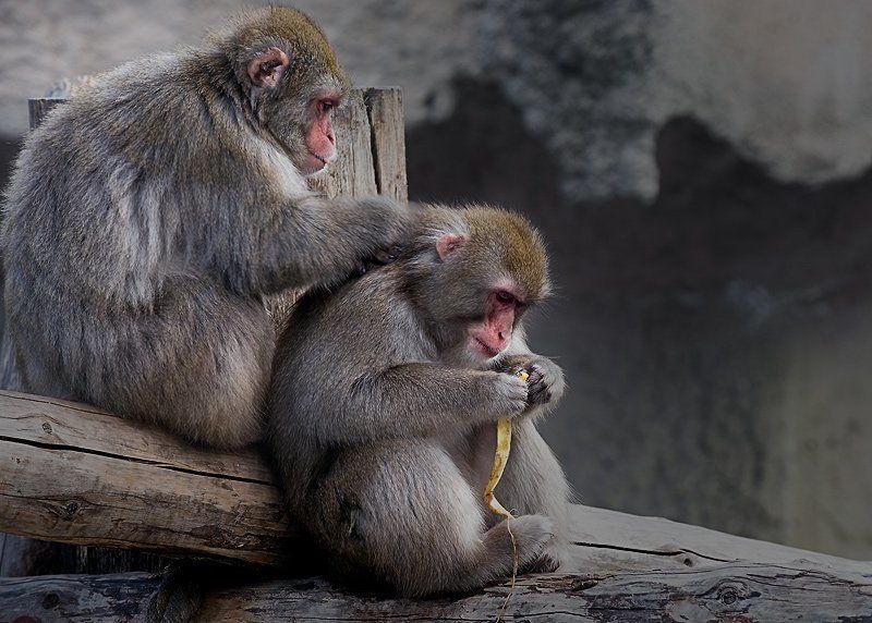 Дела...photo preview