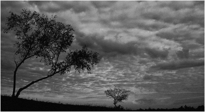 Трудный разговорphoto preview