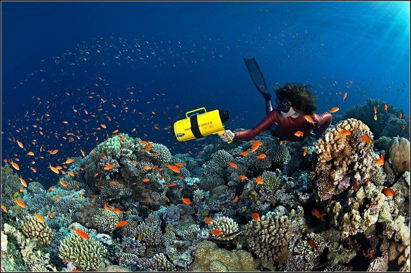 Таиство рифаphoto preview