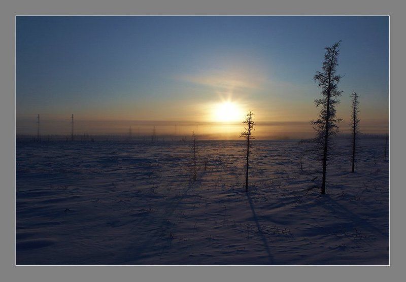 Длинные тени короткого дняphoto preview