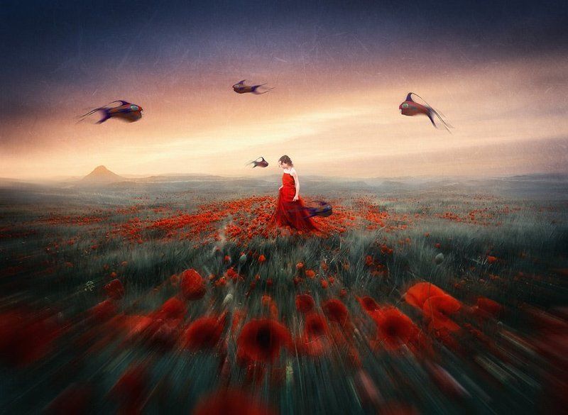 рыбы, сны, праздник, фантасмагория Air Fish Dayphoto preview