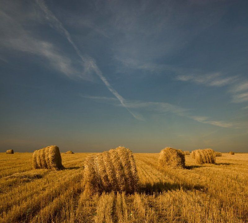 поле, небо, сено, лето, катушки Соломенное безмолвие.photo preview