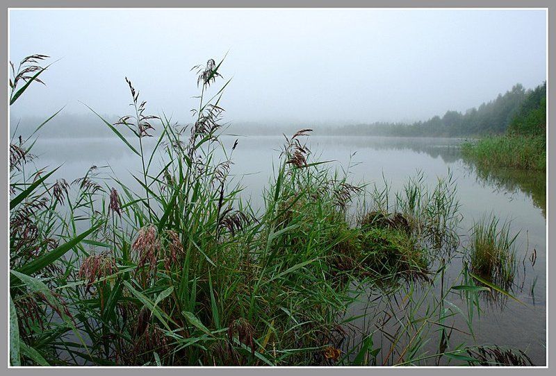 Светлояр. Рассветphoto preview