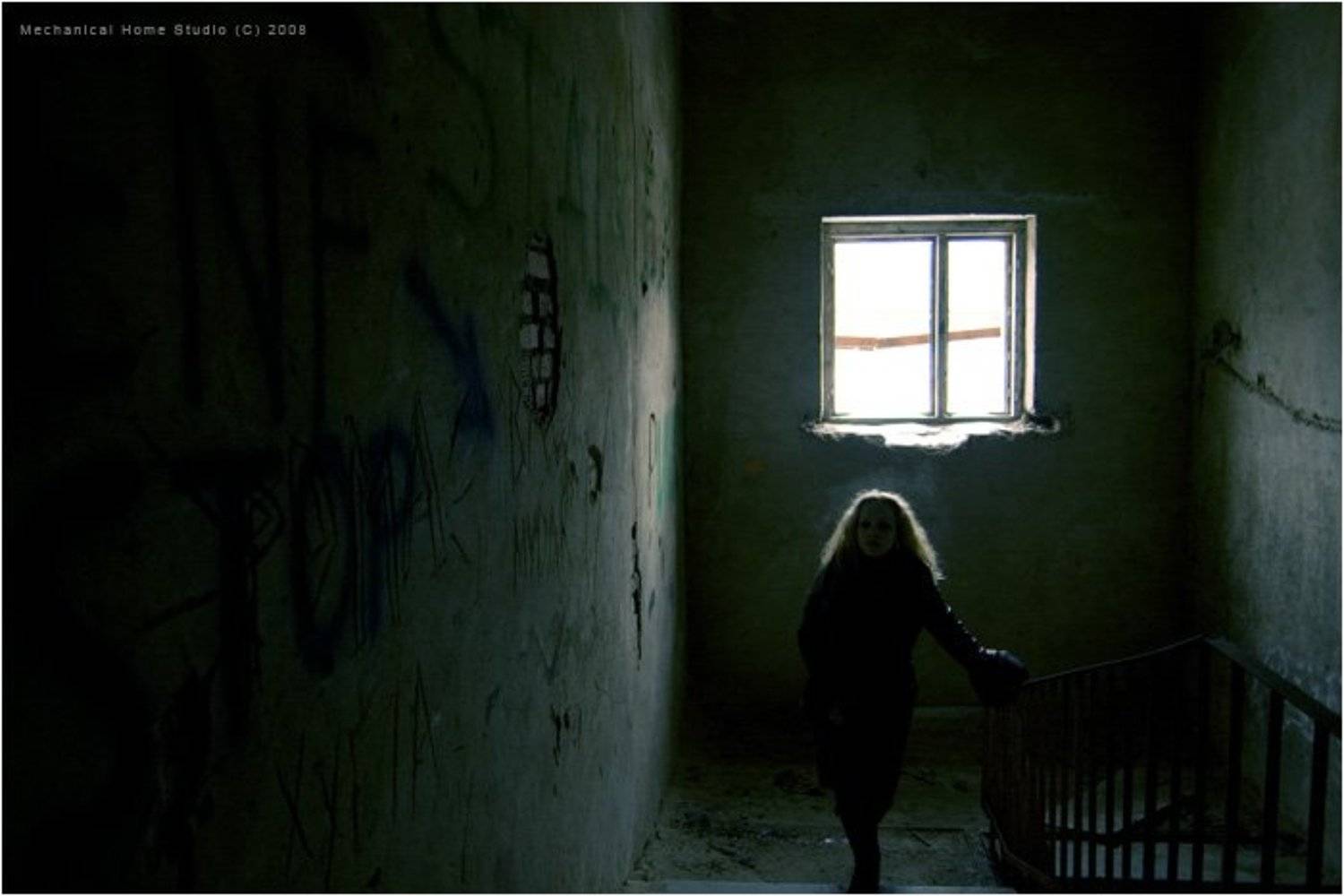 necro stellar, анастасия поднебесная, Сборщик