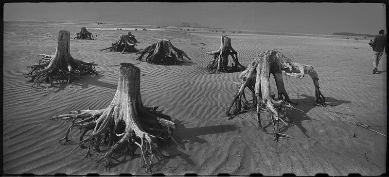 IN MEMORIUM: жить в век переменphoto preview