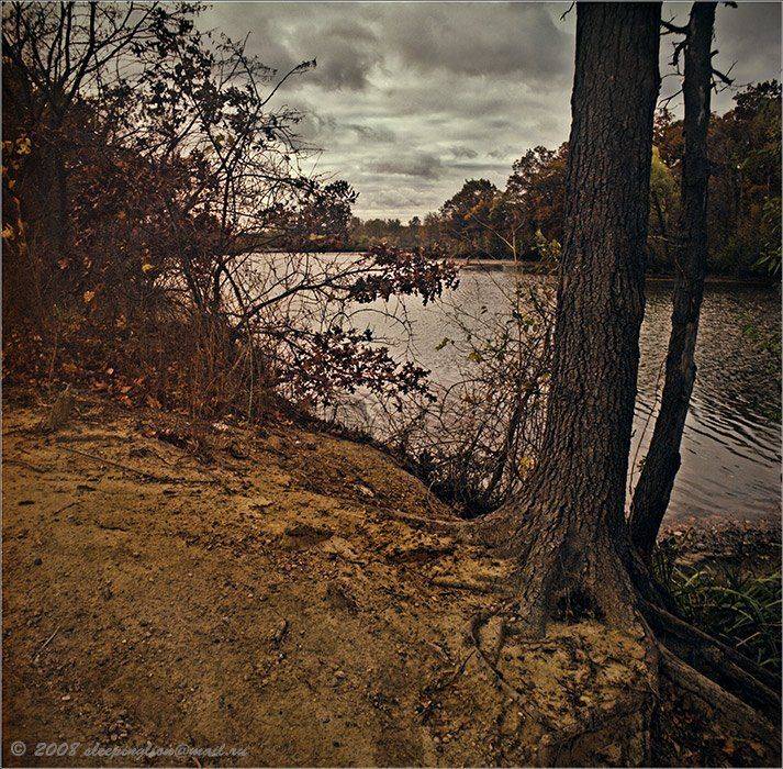 Autumn is cold..... Автор: Pilgrim пейзаж, пленка, средний формат, 6х6, киев-60, pilgrim, medium format, kiev-60, Pilgrim