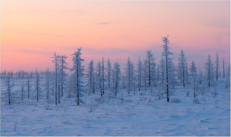 север, русский север, заполярье, приполярье, Раннее утроphoto preview