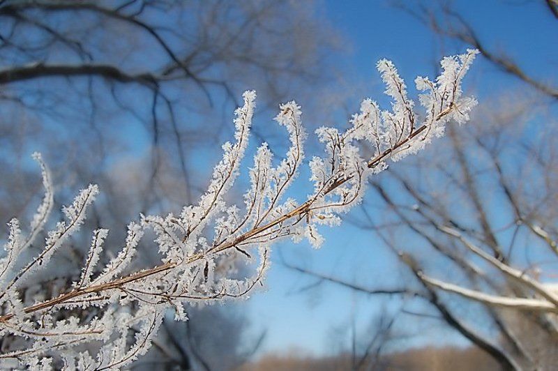 нежностьphoto preview