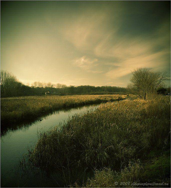 Long way to spring. Автор: Pilgrim пленка, средний формат, 6х4.5, броника, pilgrim, medium format, bronica etr, Pilgrim