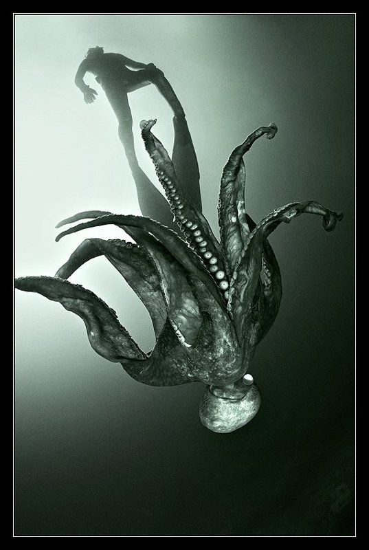 В унисонphoto preview