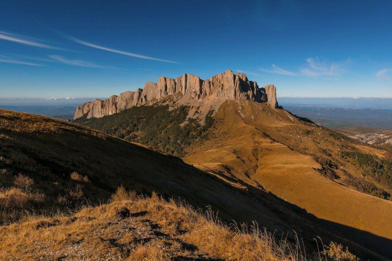 ТХАЧ , ПОСЛЕ ОБЕДА. Автор: ФЁДОР , ФЁДОР