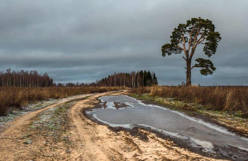 По дороге в зиму фото превью