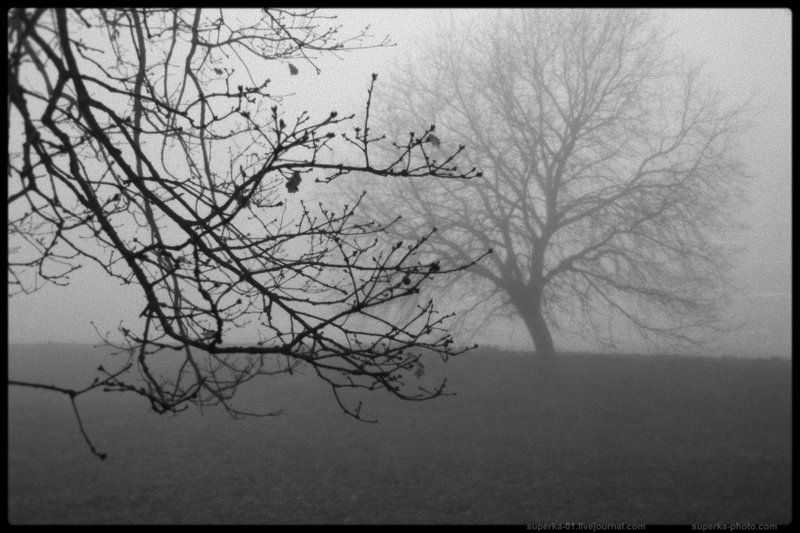 Vitorchiano в ч/бphoto preview