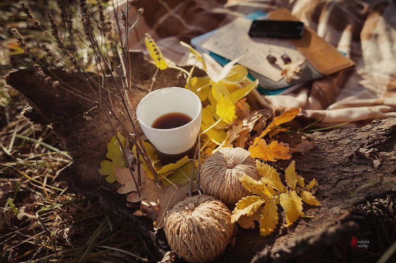 Octoberphoto preview