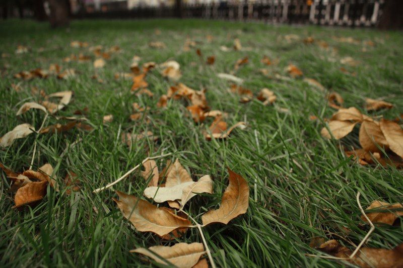 Осенние открыткиphoto preview