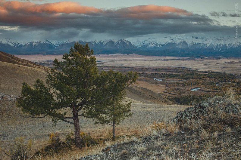 Просторы Алтаяphoto preview