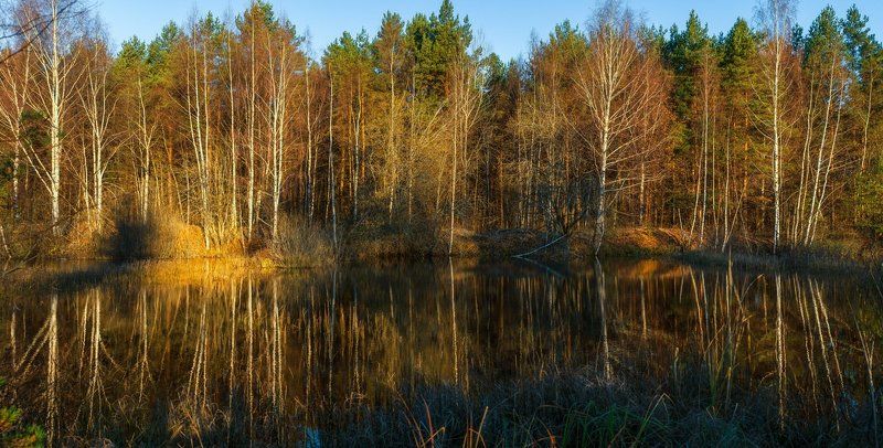 Облетела листва... фото превью