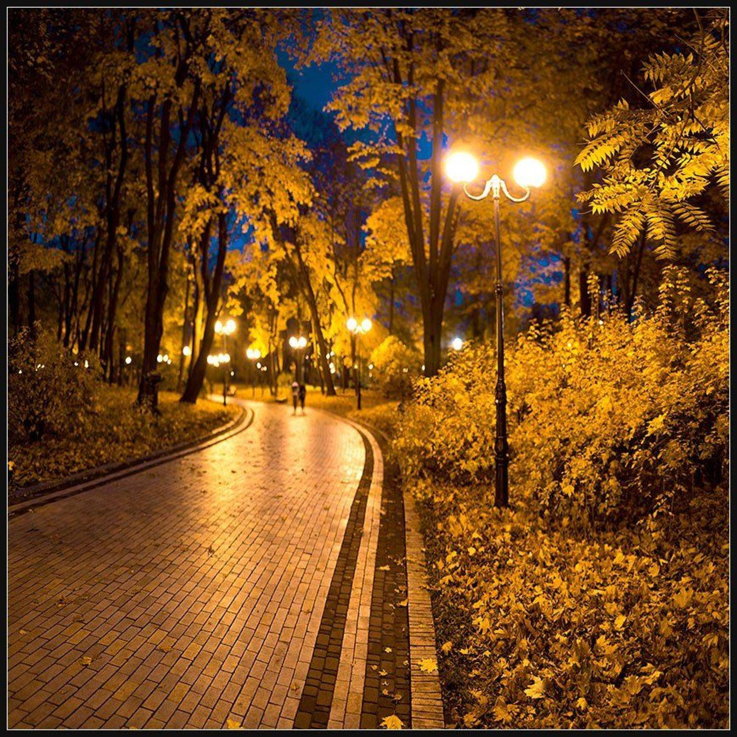 , Алексей Соловей