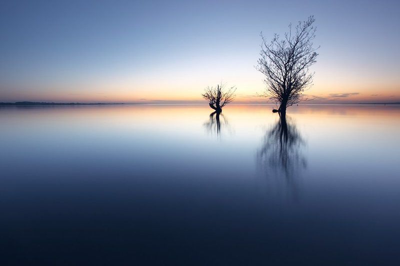 Silencephoto preview